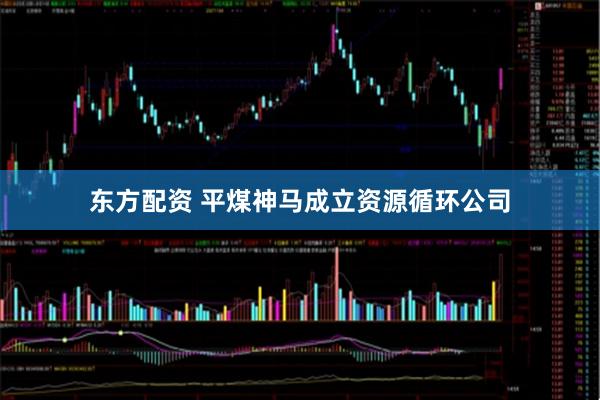 东方配资 平煤神马成立资源循环公司