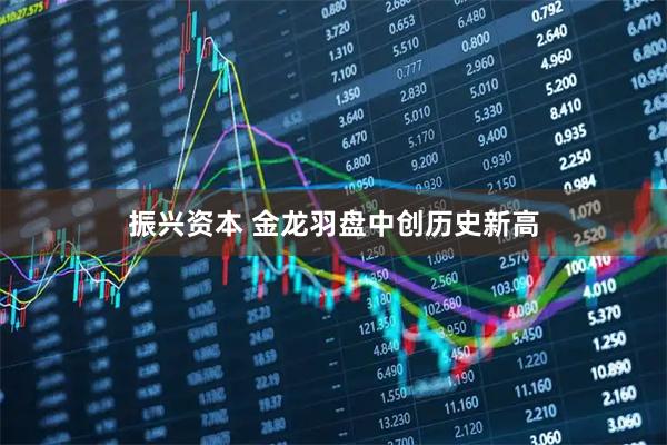 振兴资本 金龙羽盘中创历史新高