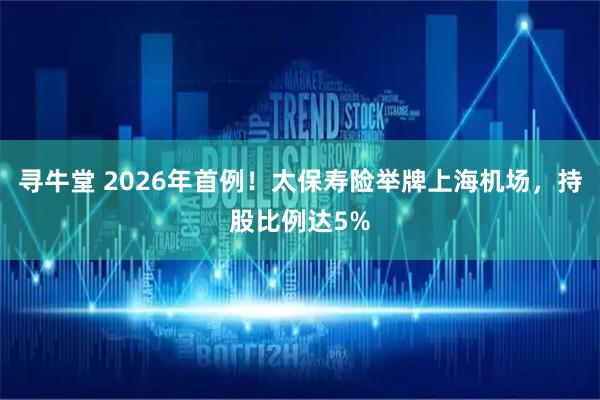 寻牛堂 2026年首例！太保寿险举牌上海机场，持股比例达5%